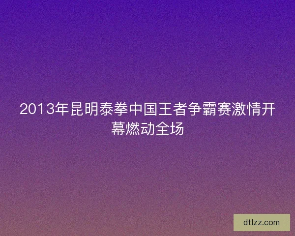2013年昆明泰拳中国王者争霸赛激情开幕燃动全场