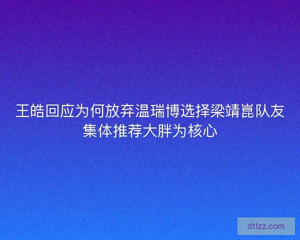 王皓回应为何放弃温瑞博选择梁靖崑队友集体推荐大胖为核心 王皓回应为何放弃温瑞博选择梁靖崑队友集体推荐大胖为核心