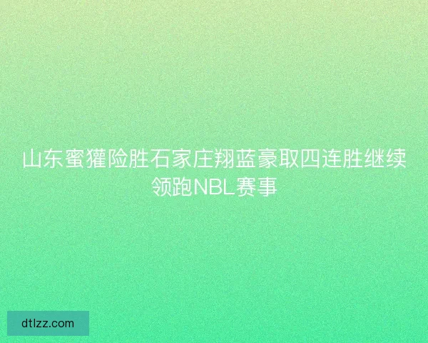 山东蜜獾险胜石家庄翔蓝豪取四连胜继续领跑NBL赛事