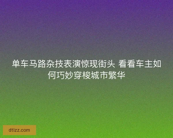 单车马路杂技表演惊现街头 看看车主如何巧妙穿梭城市繁华